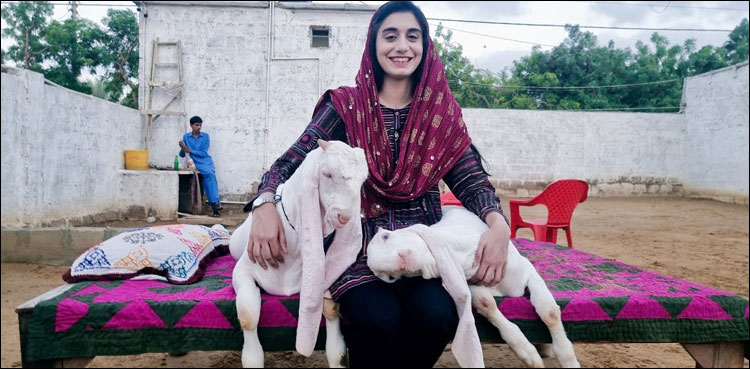 19 سالہ طالبہ کیٹل فارم کی مالک