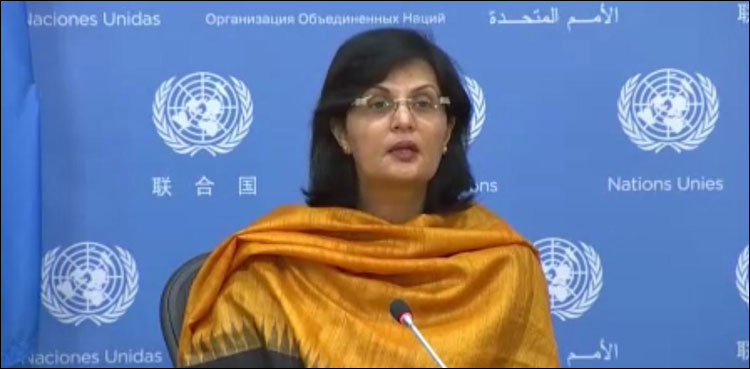 پناہ گاہوں کے انفراسٹرکچر اور سہولتوں کا معیار مزید بہتر بنایا جائے گا: ثانیہ نشتر
