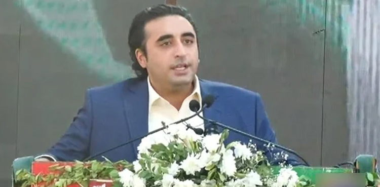 عالمی برادری ترقی پذیر ملکوں کی معیشت کی مضبوطی میں کردار ادا کرے، وزیر خارجہ
