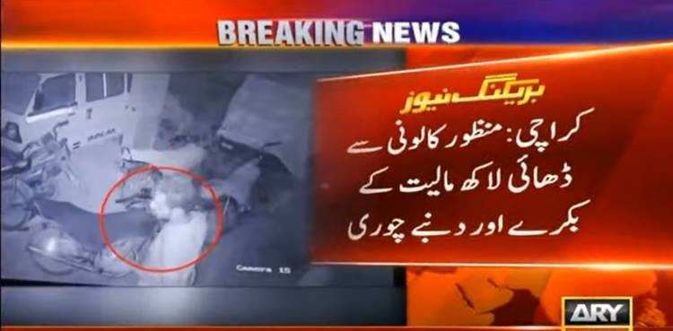 کراچی میں  قربانی کیلئے لائے گئے  لاکھوں مالیت کے جانور چوری