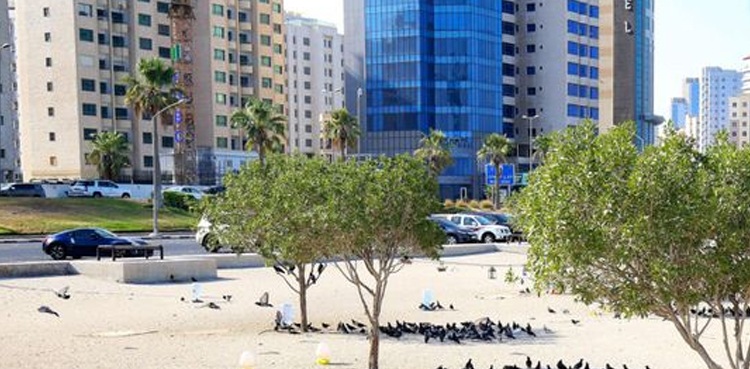 کویتی شہری نے گرمی ختم کرنے کے لیے حکومت کو کیا تجویز دی؟