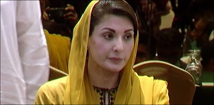 ‘ جتنا چاہے پھڑپھڑا لو، وزیراعلیٰ حمزہ شہباز انشااللہ! ‘