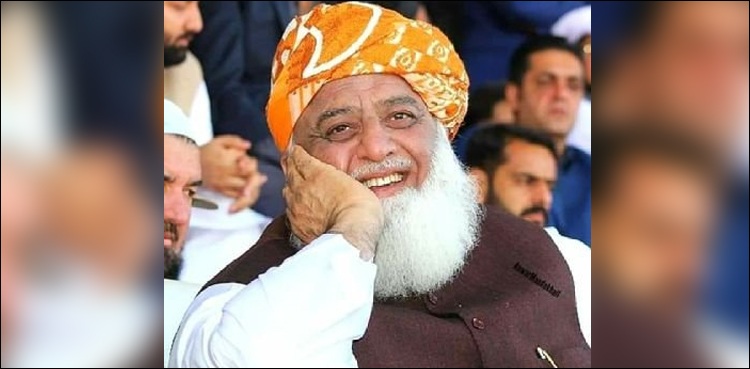ہم پی پی کی طرح چھپ کر ووٹ دینے والوں میں سے نہیں، فضل الرحمان