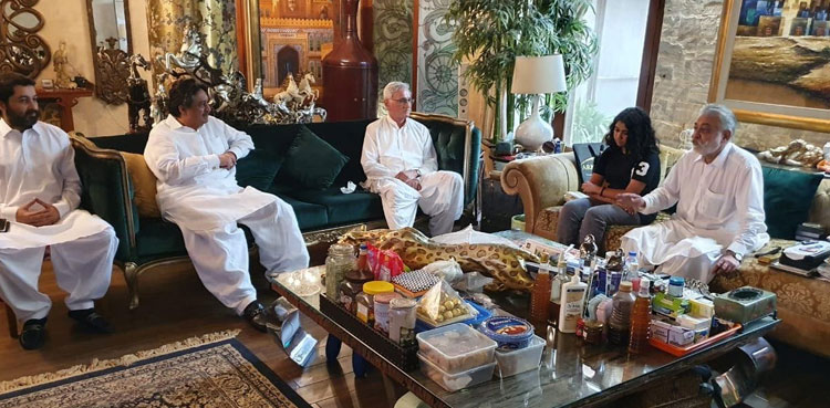 پیر پگارا اور جہانگیر ترین  کی   ملاقات کی اندرونی کہانی سامنے آگئی