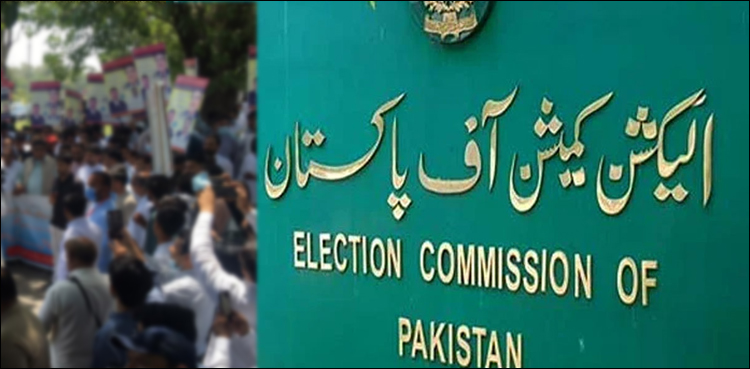 الیکشن کمیشن نے کے پی حکومت سے بلدیاتی انتخابات کا پلان طلب کرلیا