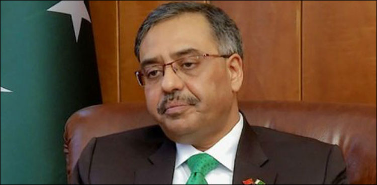 سیکریٹری خارجہ سے او آئی سی انسانی حقوق کمیشن کے وفد کی ملاقات