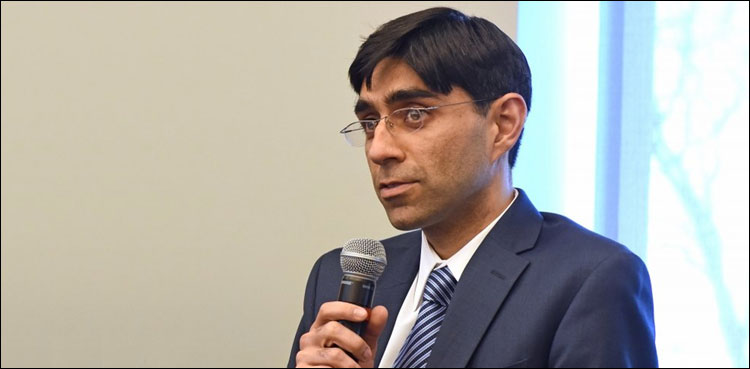 قومی سلامتی پالیسی عام پاکستانی کے تحفظ کی ضامن ہے: معید یوسف