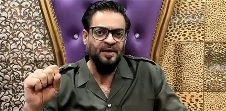 رکن قومی اسمبلی عامر لیاقت کی پارٹی رکنیت ختم کی جائے،پی ٹی آئی رہنما کی درخواست