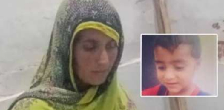بھائی سے جھگڑے کا بدلہ سفاک پھوپھی نے 2 سالہ بھتیجے سے لے لیا