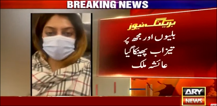 گھر میں بلیاں پالنے پر خاتون اور بلیوں پر تیزاب سے حملہ