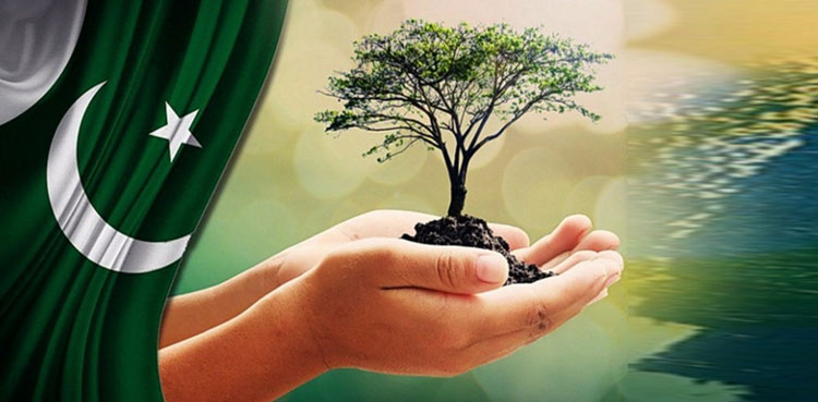 یوم آزادی ‘گرین پاکستان ڈے’ قرار، وزیراعظم کی قوم سے پودے لگانے کی اپیل