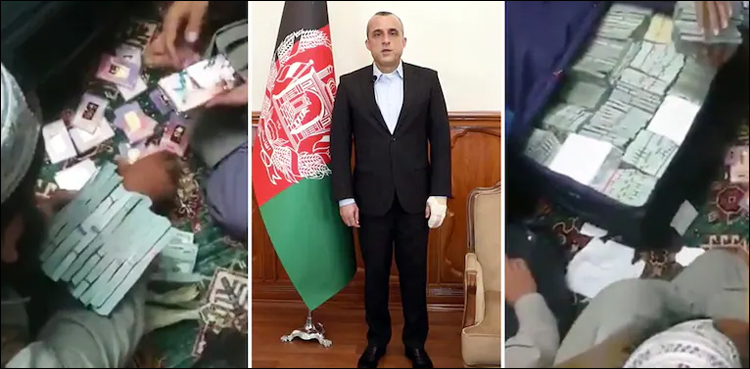امراللہ صالح کے گھر سے لاکھوں ڈالرز اور سونے کی اینٹیں برآمد، طالبان نے ویڈیو جاری کر دی