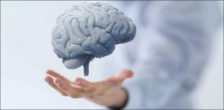 عمر کے ساتھ ساتھ دماغ کے حجم میں تبدیلی