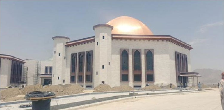 ینگ ڈاکٹرز ایسوسی ایشن کے رکن ڈاکٹر قلندر جان افغانستان کے وزیر صحت مقرر