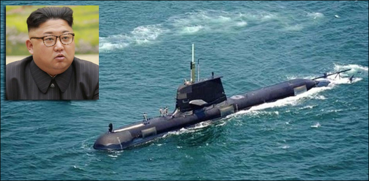 امریکا کا آسٹریلیا کے ساتھ آبدوز معاہدہ انتہائی خطرناک ہے: شمالی کوریا
