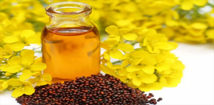 جانئے، سرسوں کے تیل میں پوشیدہ صحت کے خزانے