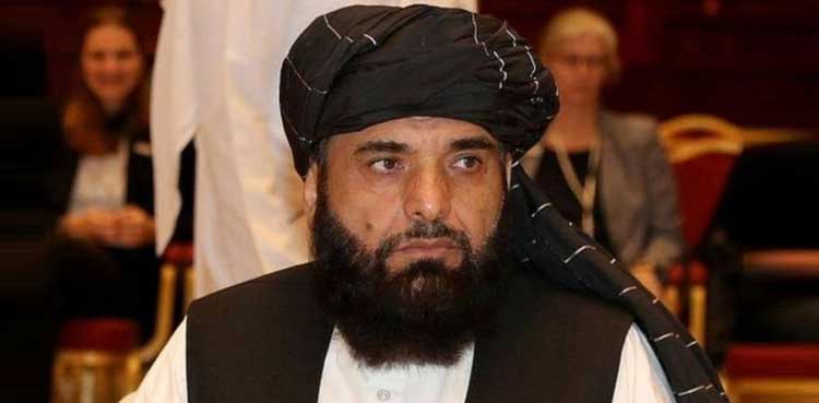 طالبان نے سہیل شاہین کو اقوام متحدہ میں سفیر نامزد کردیا