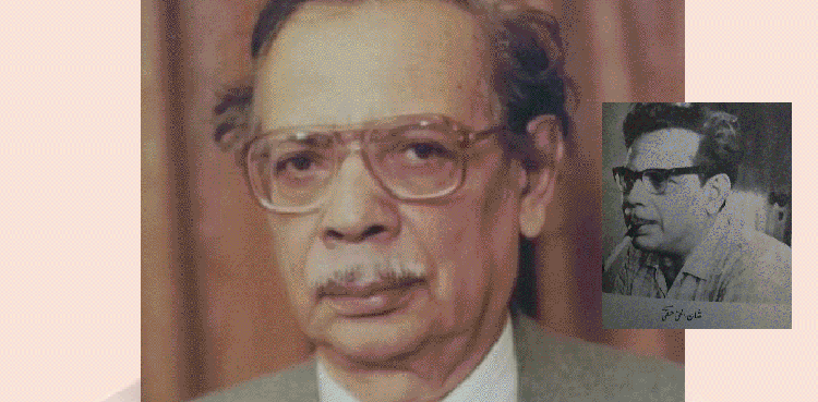 شان الحق حقّی: ہمہ جہت شخصیت، جنھوں نے زبان و ادب کے لیے بے مثال خدمات انجام دیں