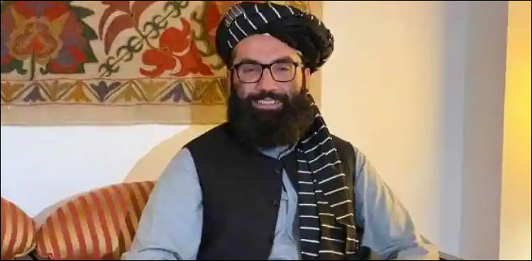 پاکستان سے شکست پر اہم طالبان رہنما کا ردعمل