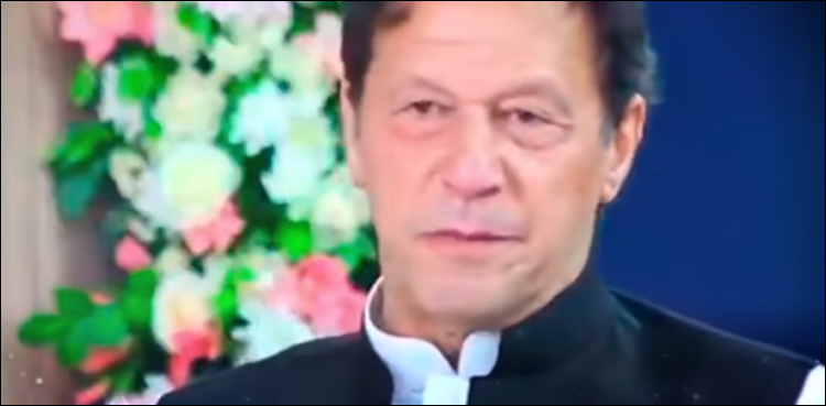پردے کا نظام شادی کے تحفظ کے لیے ہے: وزیر اعظم