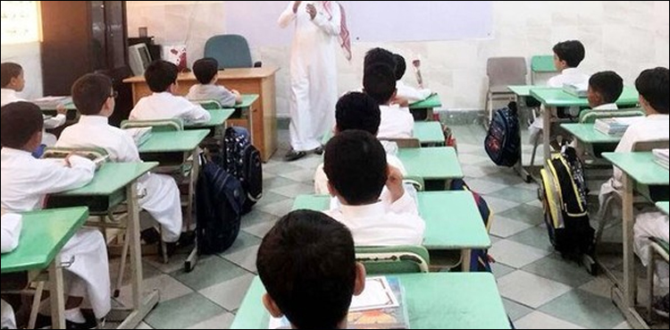 پرائیویٹ ایجوکیشن اتھارٹی کا 31 اکتوبر سے اسکول بحال کرنے کا اعلان