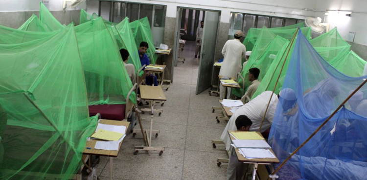 کراچی میں ڈینگی وائرس تیزی سے پھیلنے لگا