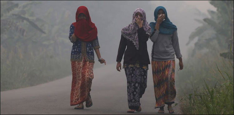 اقوام متحدہ نے صاف، صحت مند ماحول کو بنیادی حق تسلیم کر لیا