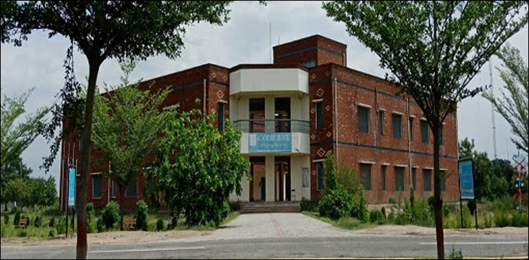 وزیر اعظم نے سب کیمپس ٹوبہ ٹیک سنگھ کو یونیورسٹی بنانے کی منظوری دے دی