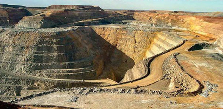 بلوچستان اسمبلی نے ریکوڈک کے مبینہ معاہدے کے خلاف قرارداد منظور کر لی