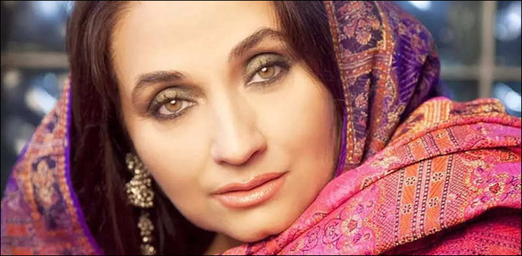 بھارتی اداکارہ سلمیٰ آغا سے موٹر سائیکل سوار لٹیروں نے ہینڈ بیگ چھین لیا
