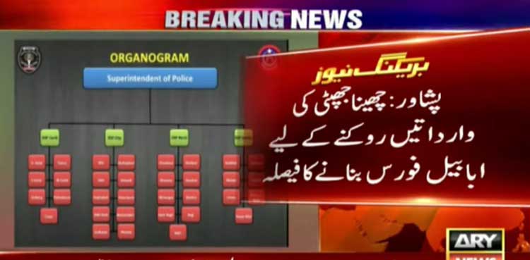 چھینا جھپٹی کی وارداتیں روکنے کے لیے ‘ابابیل فورس’ بنانے کا فیصلہ