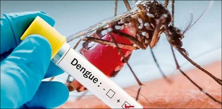جڑواں شہروں میں مزید 41 افراد میں ڈینگی وائرس کی تصدیق