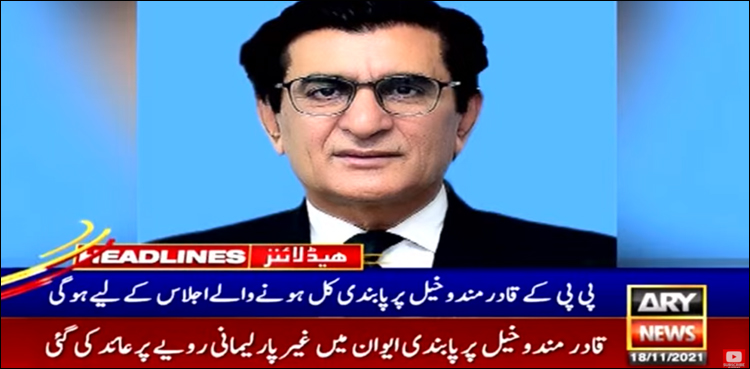 پیپلز پارٹی کے رکن کو اسپیکر قومی اسمبلی سے بدتمیزی مہنگی پڑ گئی