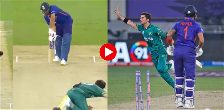 آئی سی سی نے شاہین آفریدی کو اہم اعزاز دے دیا