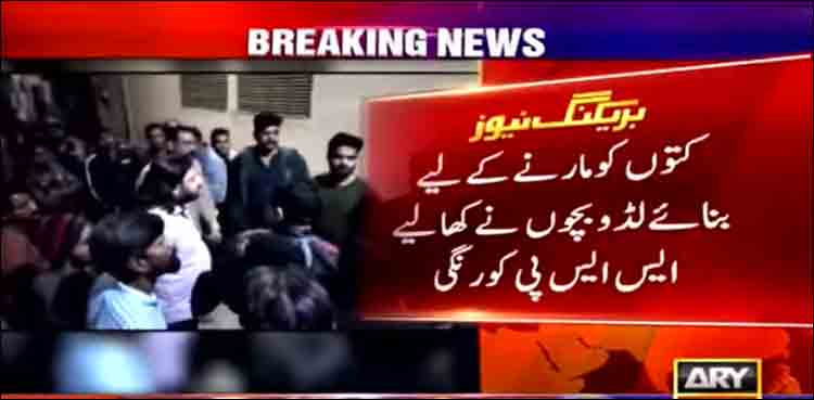 کورنگی میں کتا مار مہم: زہریلے لڈو بچوں نے کھالیے، ایک ہلاک