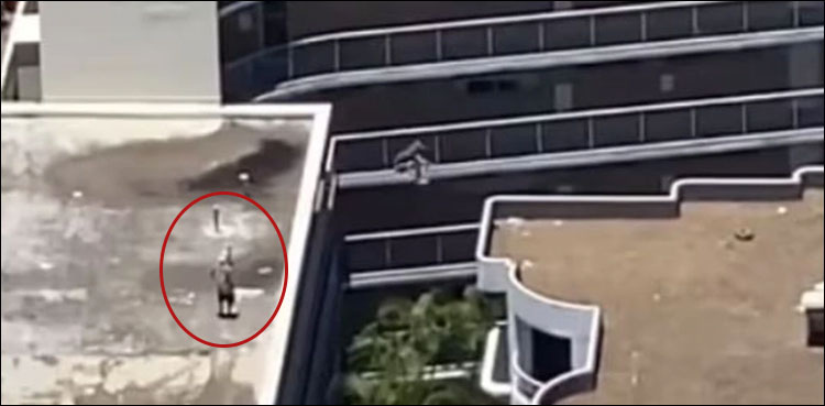 طویل عمارتوں پر چھلانگ لگانے کا دل دہلا دینے والا اسٹنٹ