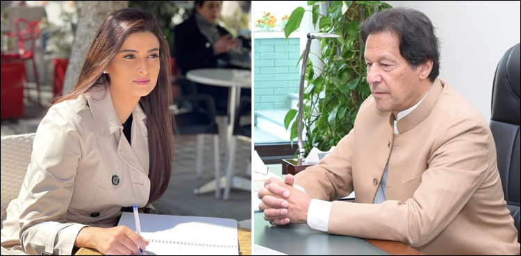 وزیر اعظم پاکستان نے افغانستان پر مسلط کردہ جنگ کو امریکا کا جنونی عمل قرار دے دیا