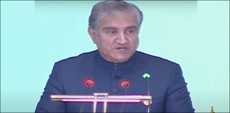 پاکستان افغانستان کے لیے اپنی بساط سے بڑھ کے کر رہا ہے: وزیر خارجہ