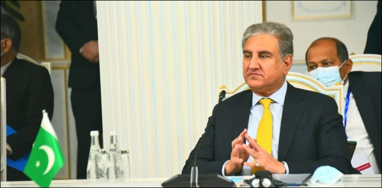 وزیر خارجہ شاہ محمود قریشی سے چینی ہم منصب کی ملاقات
