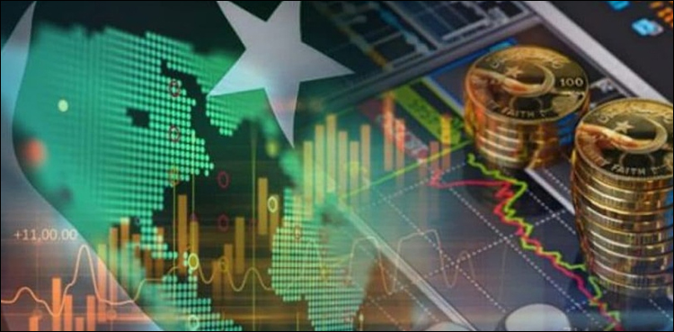 ترسیلات زر، نان ٹیکس آمدنی اور براہ راست غیر ملکی سرمایہ کاری میں کمی