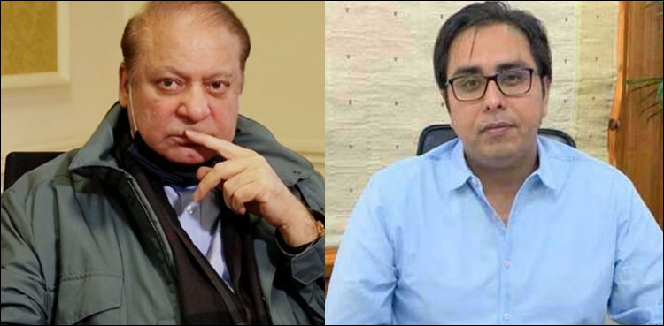 نااہل شریف گیدڑ بھپکیوں کے بعد منت سماجت پر آگئے، شہباز گل