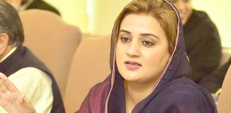 عظمیٰ بخاری کا ترجمان پنجاب حکومت  کو بلدیاتی الیکشن لڑنے کا مشورہ