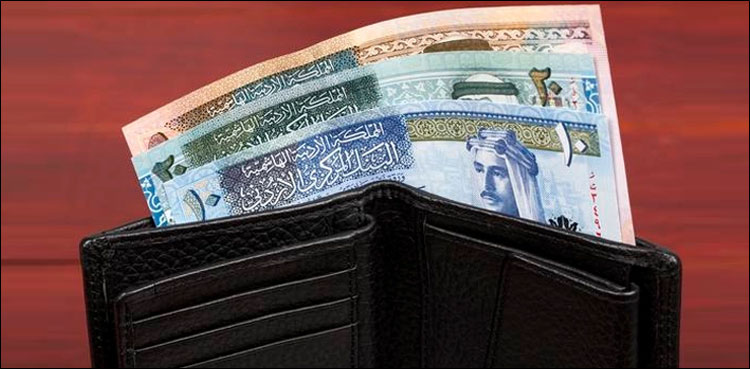غربت میں زندگی گزارتی پاکستانی نژاد خاتون اچانک مالدار بن گئیں