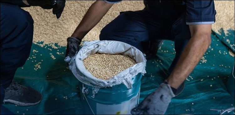 سعودی عرب: نشہ آور گولیاں اسمگل کرنے کی کوشش ناکام