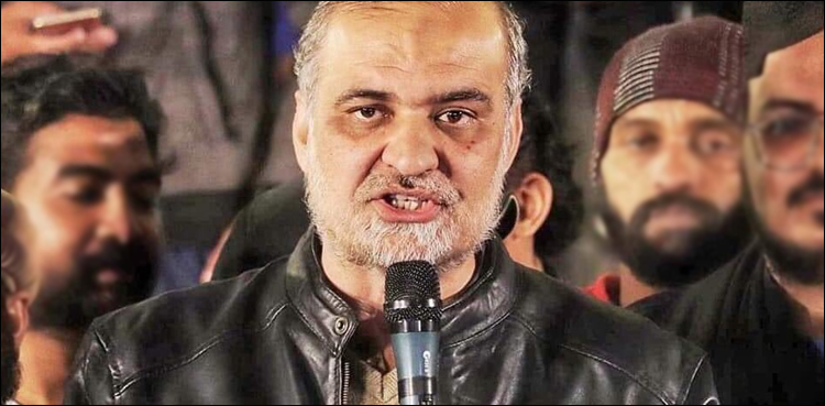 ترامیم معاہدہ کامیابی قرار، نامعلوم افراد کو کسی نے لفٹ نہیں کرائی: حافظ نعیم