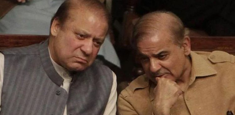 نواز اور شہباز شریف کی جائیدادیں منجمد کرنے کیخلاف درخواستوں کی سماعت