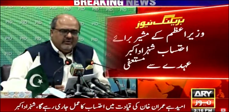 وزیر اعظم کے مشیر برائے احتساب شہزاد اکبر عہدے سے مستعفی