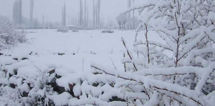 اسکردو میں برفباری، فضائی سروس اور درجنوں بالائی علاقوں سے زمینی رابطہ معطل