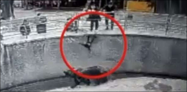 ننھی بچی کو ریچھ کے پنجرے میں پھینکنے والی ماں گرفتار