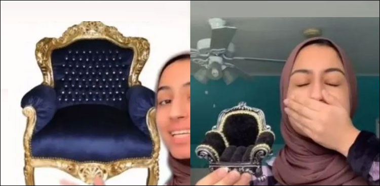 آن لائن کرسی خریدنے والی خاتون کو شدید دھچکا
